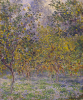 Citronlunden i Bordighera, 1884-1884. Claude Monet. Ny Carlsberg Glyptotek